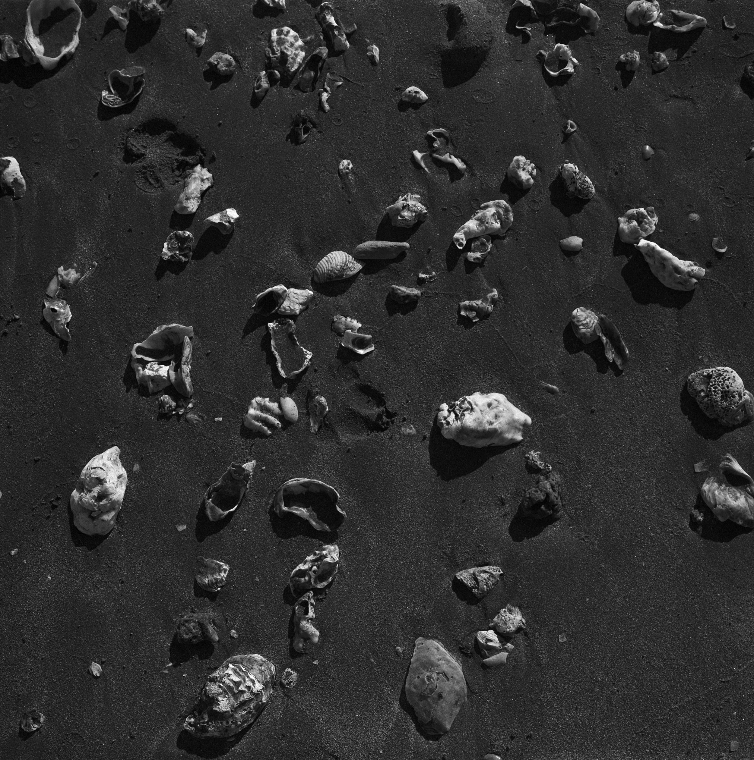  Mamiya 6 con Agfa APX 100, revelada en  Yetilab  