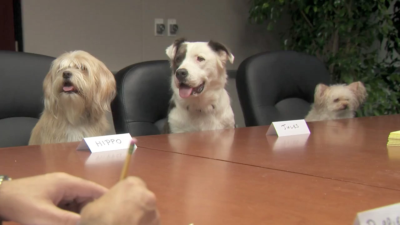  El único focus group que me gustaría conducir. 