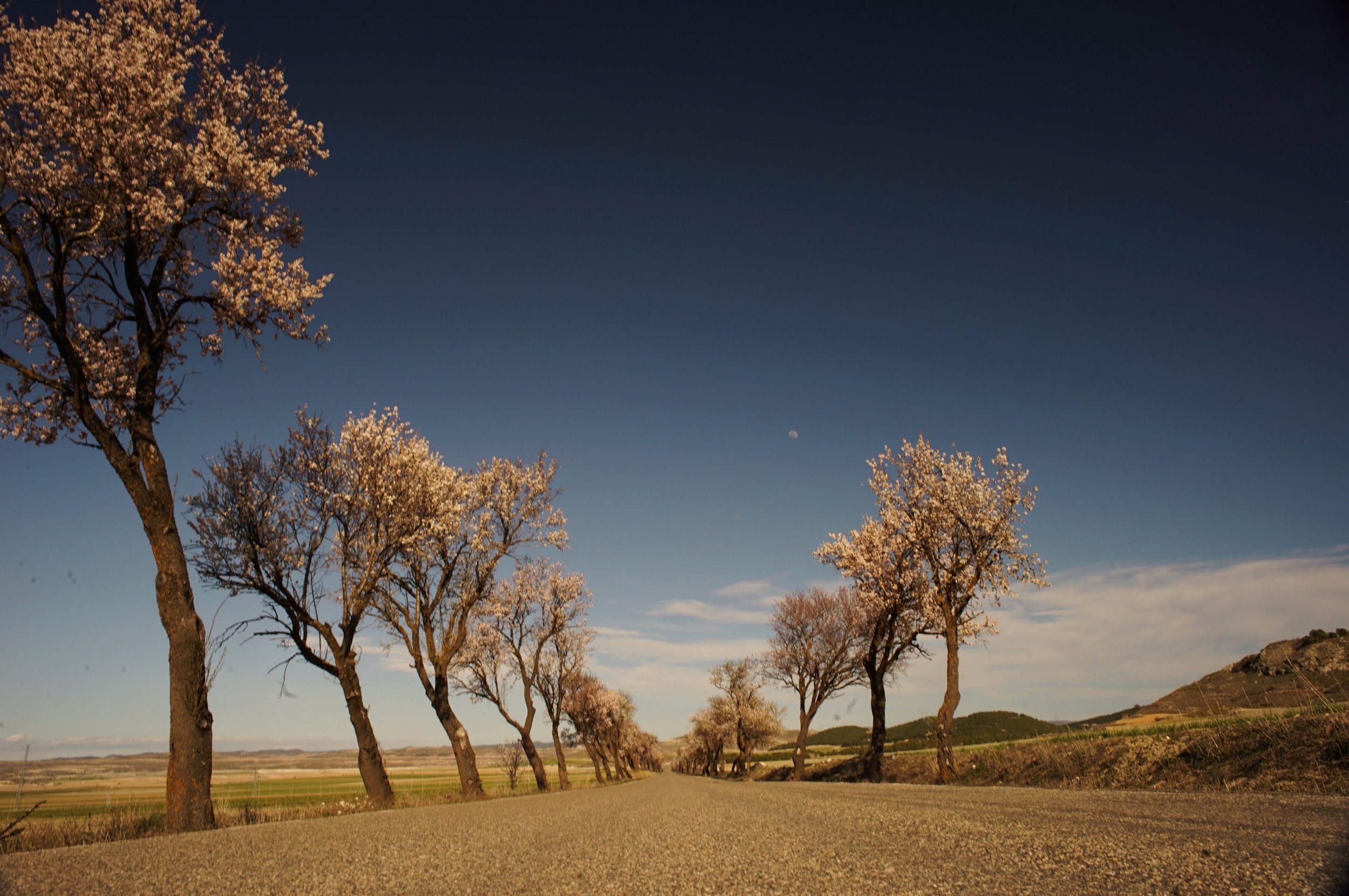  El puntito blanco es... La luna. 