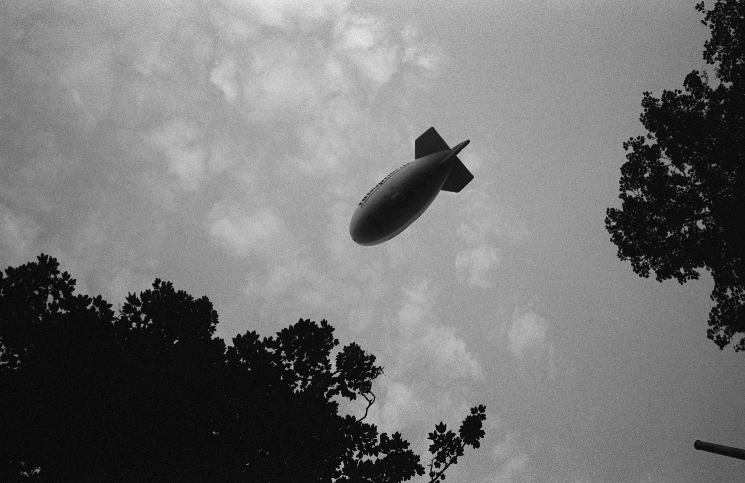  Fujifilm Tiara II con Fomapan 400, reveladas todas en  Yetilab . 